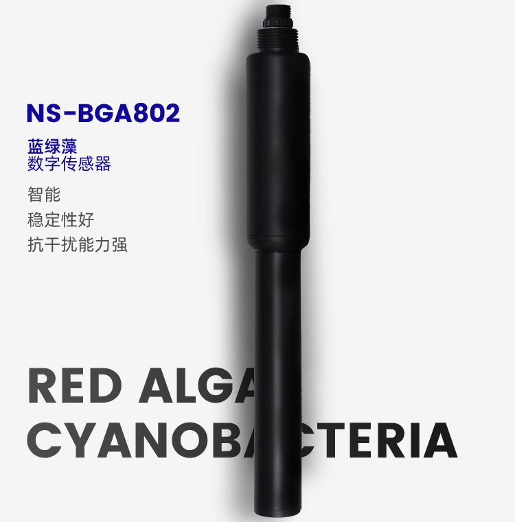 蓝绿藻数字传感器NS-BGA802品牌_01.jpg