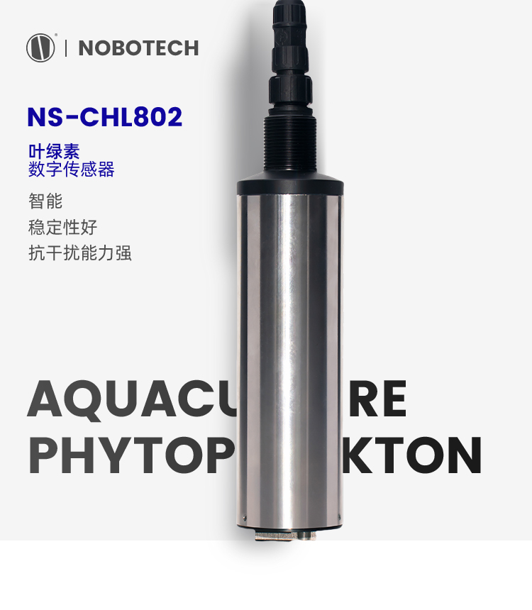 绿叶素数字传感器NS-CHL802品牌_01.jpg